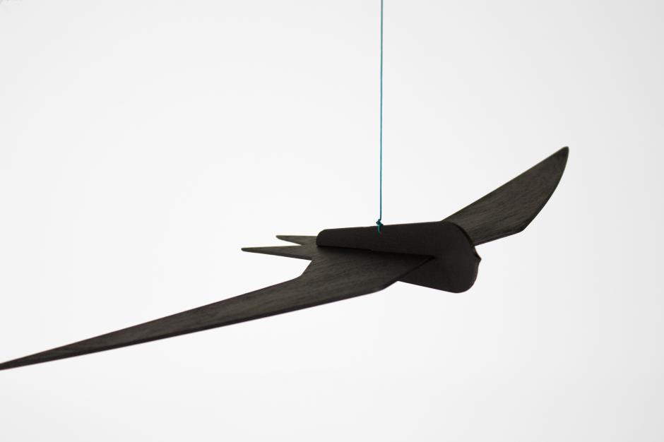SWIFT NOT SWALLOW
