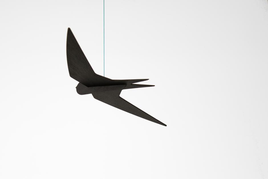 SWIFT NOT SWALLOW