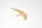 SWIFT NOT SWALLOW